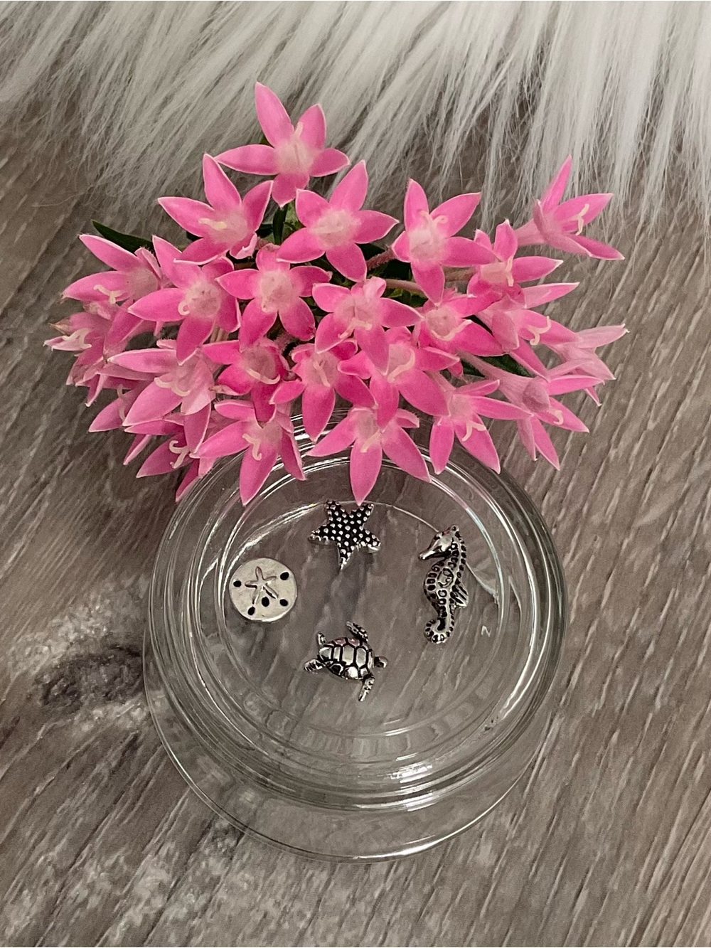 ⭐️🩵 Origami Owl 4 Charms…Starfish, Sand Dollar, Seahorse,Turtle